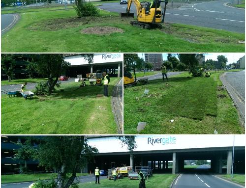 Landscaping and Tidy Up for North Ayrshire Council